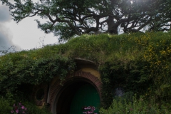 Hobbinton - Neuseeland Hobbinton - Neuseeland