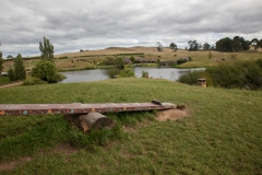 Hobbinton - Neuseeland Hobbinton - Neuseeland