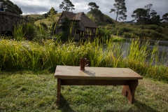 Hobbinton - Neuseeland Hobbinton - Neuseeland