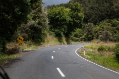 forgotten world highway- Neuseeland