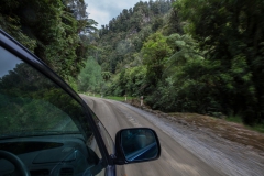forgotten world highway- Neuseeland