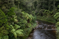 forgotten world highway- Neuseeland forgotten world highway- Neuseeland
