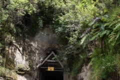 forgotten world highway- Neuseeland forgotten world highway- Neuseeland