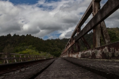 forgotten world highway- Neuseeland forgotten world highway- Neuseeland