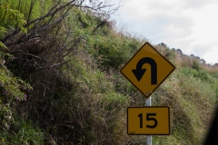 forgotten world highway- Neuseeland