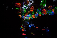 New Plymouth - Festival of lights - Neuseeland New Plymouth - Festival of lights - Neuseeland