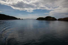 Fähre zur Südinsel - Queen Charlotte Sound - Neuseeland