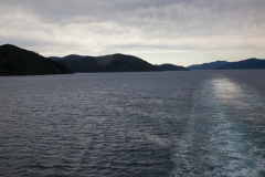 Fähre zur Südinsel - Queen Charlotte Sound - Neuseeland
