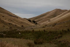 Coastal Pacific - KiwiRail - Neuseeland Coastal Pacific - KiwiRail - Neuseeland