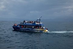 Kaikoura - whale watch - Neuseeland Kaikoura - whale watch - Neuseeland