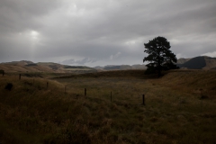 Coastal Pacific - KiwiRail - Neuseeland