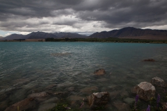 Tekapo - Südinsel - Neuseeland Tekapo - Südinsel - Neuseeland