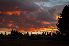 Tekapo - Südinsel - Neuseeland Tekapo - Südinsel - Neuseeland