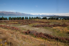 Lake Pukaki - Südinsel - Neuseeland Lake Pukaki - Südinsel - Neuseeland