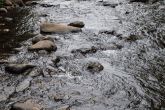 Südinsel - Neuseeland Südinsel - Neuseeland