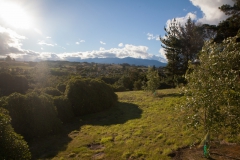 Motueka - Neuseeland Motueka - Neuseeland