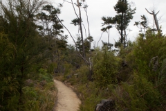 Abel Tasman National Park - Neuseeland