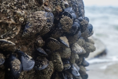 Abel Tasman National Park - Neuseeland Abel Tasman National Park - Neuseeland