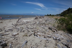 Golden Bay - Neuseeland Golden Bay - Neuseeland