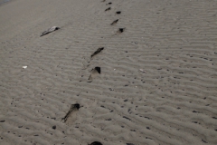 Golden Bay - Neuseeland Golden Bay - Neuseeland