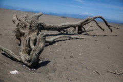 Golden Bay - Neuseeland Golden Bay - Neuseeland