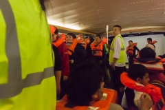 Mit der Ocean Diamond zu den Falklandinseln