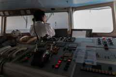 Mit der Ocean Diamond zu den Falklandinseln