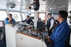 Mit der Ocean Diamond von den  Falklandinseln nach Südgeorgien