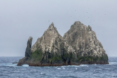 Mit der Ocean Diamond von den  Falklandinseln nach Südgeorgien