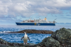 Antarktische Halbinsel