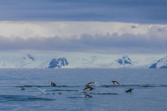 Antarktische Halbinsel