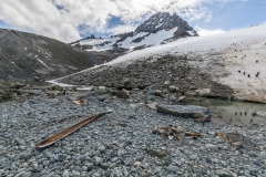 Antarktische Halbinsel