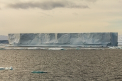 Antarktische Halbinsel