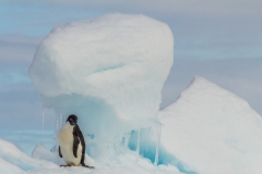 Antarktische Halbinsel