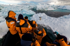 Antarktische Halbinsel