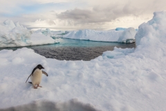 Antarktische Halbinsel