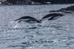 Antarktische Halbinsel