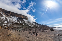 Antarktische Halbinsel