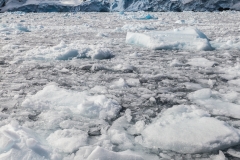 Antarktische Halbinsel