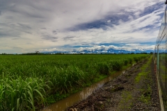 Ecuador - Tren de la Dulzura