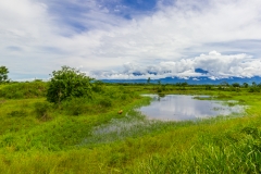 Ecuador - Tren de la Dulzura - die Andenausläufer kommen in Sichtweite