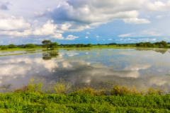 Ecuador - Tren de la Dulzura