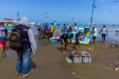 Puerto Lopez - der Fischmarkt unter freien Himmel
