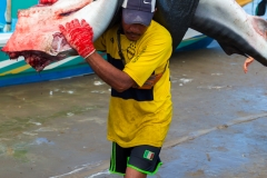 Puerto Lopez - der Fischmarkt unter freien Himmel