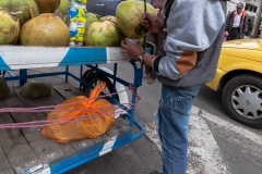 Riobamba - frische Cocos-Milch