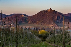 Bonn - Rodderberg