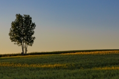 Wahnbachtalsperre