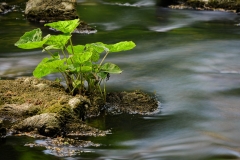 20200521-17-50-IM__5024