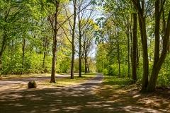 Bonn - Rheinauenpark