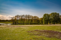 Bonn - Rheinauenpark